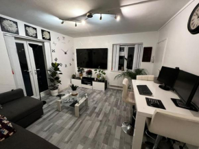 1-Bed Flat with Fast Wi-Fi in prime location 15mins from central london